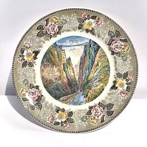 Old English Staffordshire Ware Plate.